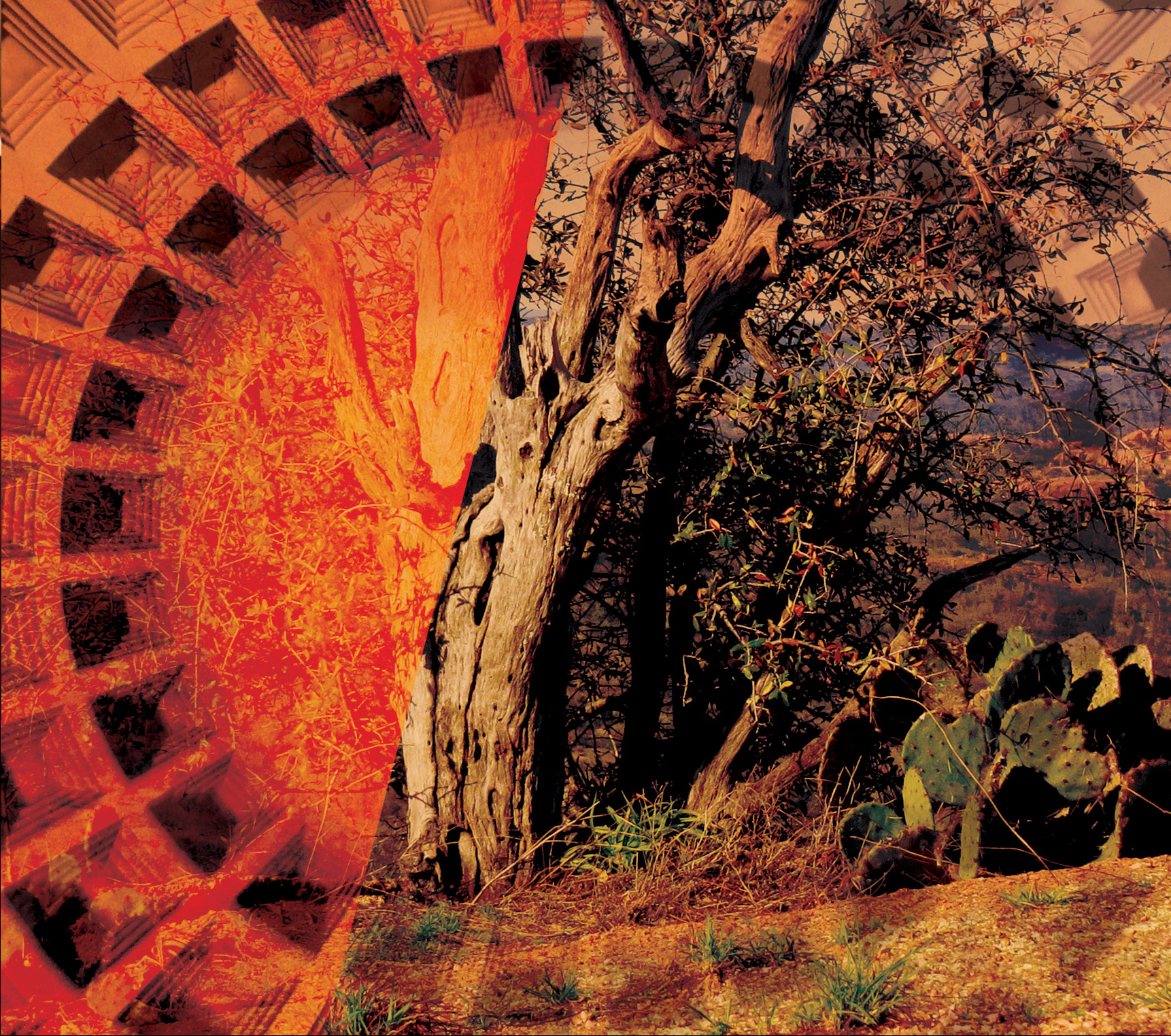 The Juantanamos - "Displacement" Album Art - CD Tray